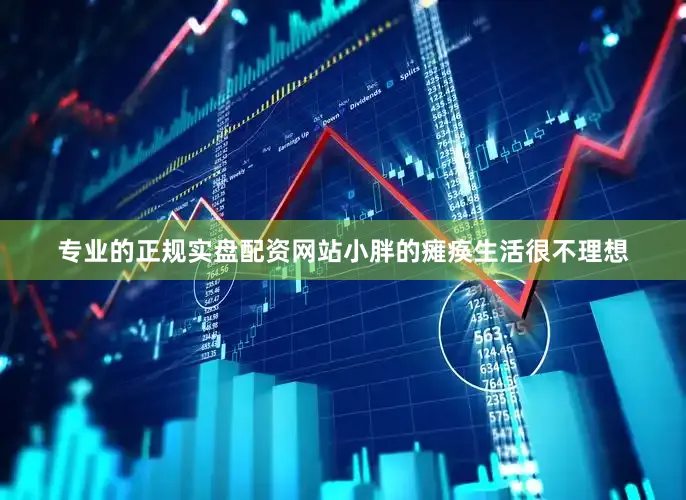 专业的正规实盘配资网站小胖的瘫痪生活很不理想