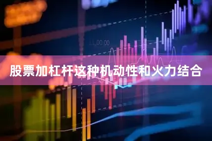 股票加杠杆这种机动性和火力结合