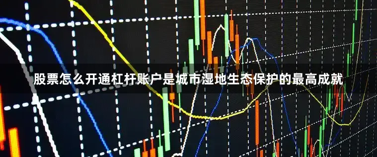 股票怎么开通杠杆账户是城市湿地生态保护的最高成就